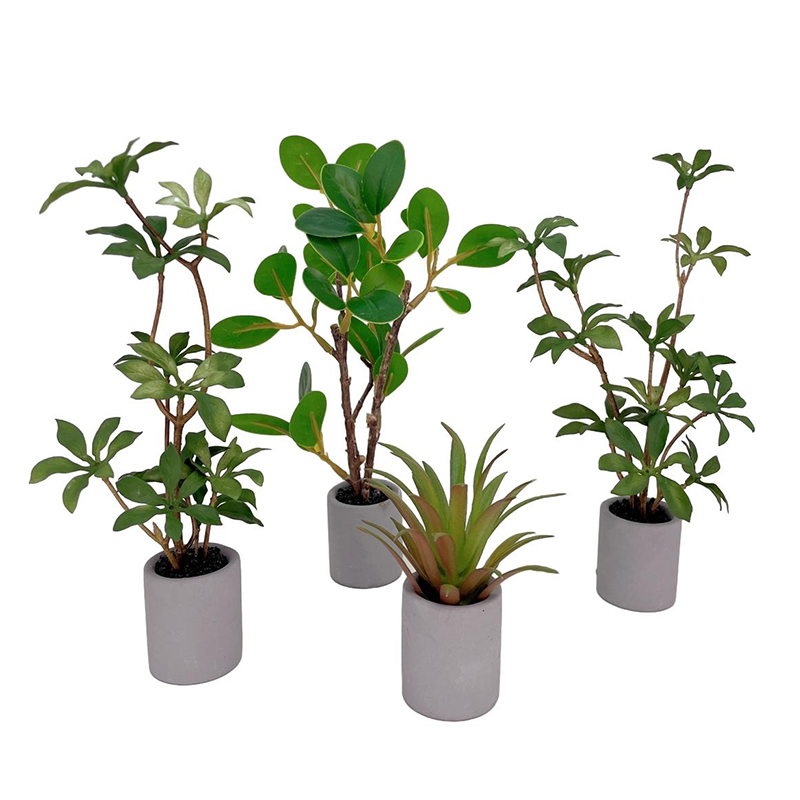 Bonsai Garden House - 1:6 кукольный домик, миниатюрное растение в