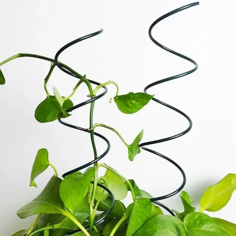 Опоры для вьющихся растений, п – обзор и цена Bonsai Gardener