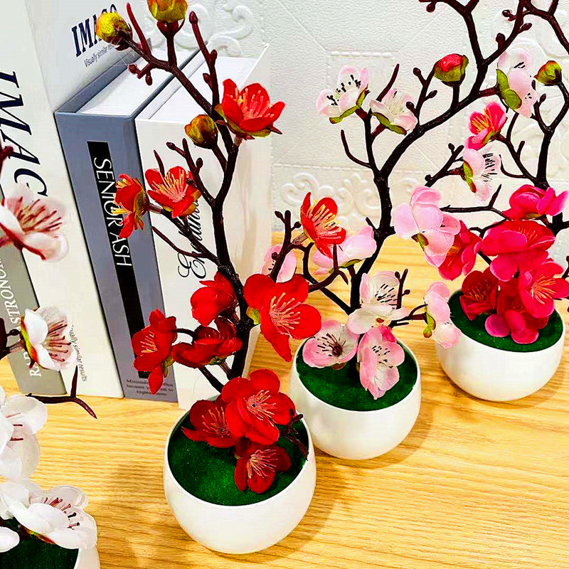 Имитация сливового цветочного  – обзор и цена Bonsai Garden Zen