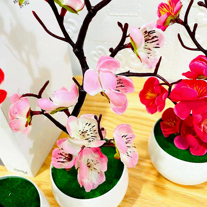Имитация сливового цветочного  – обзор и цена Bonsai Garden Zen