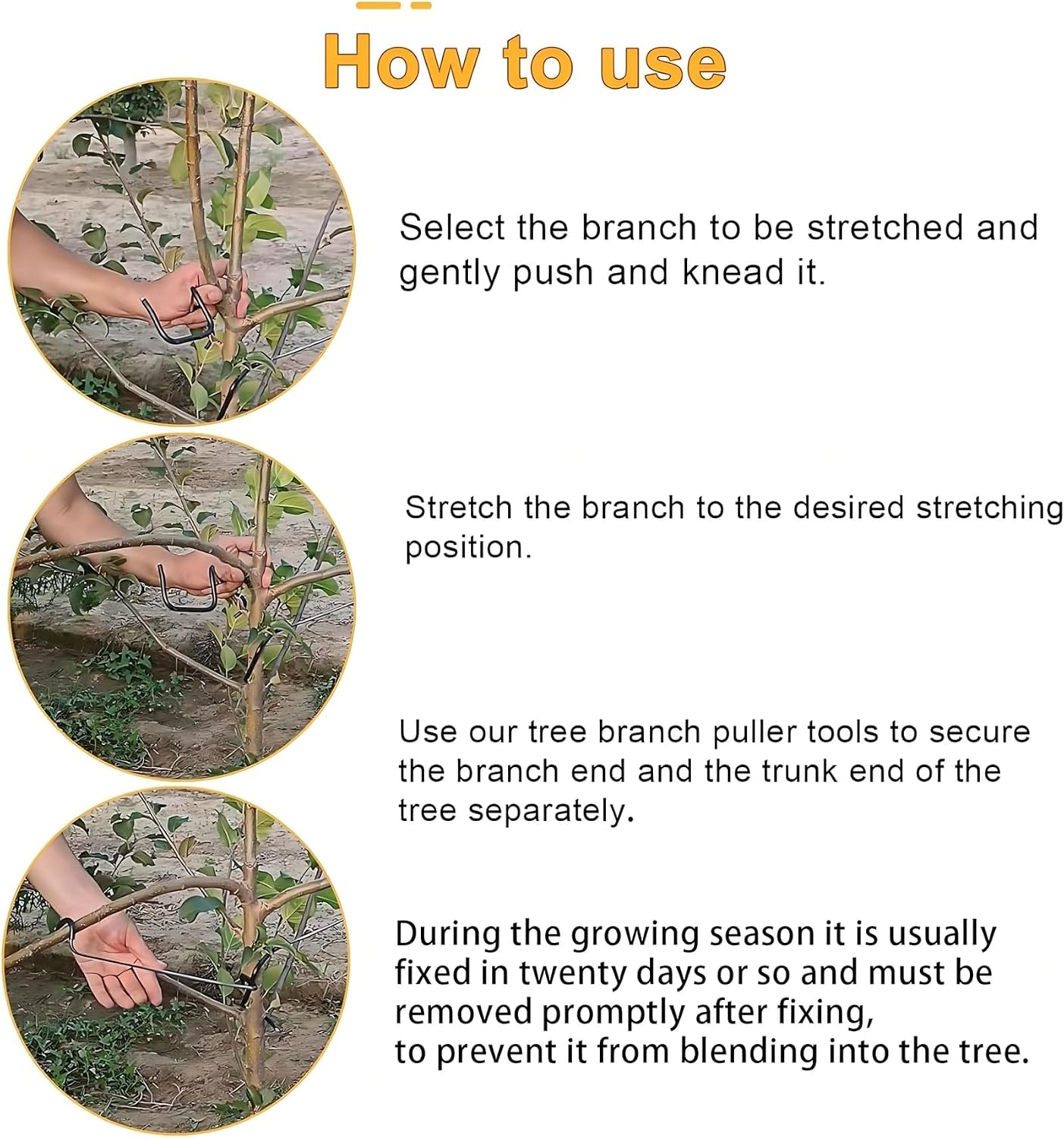 Регулируемый формирователь вет – обзор и цена Bonsai Gardener