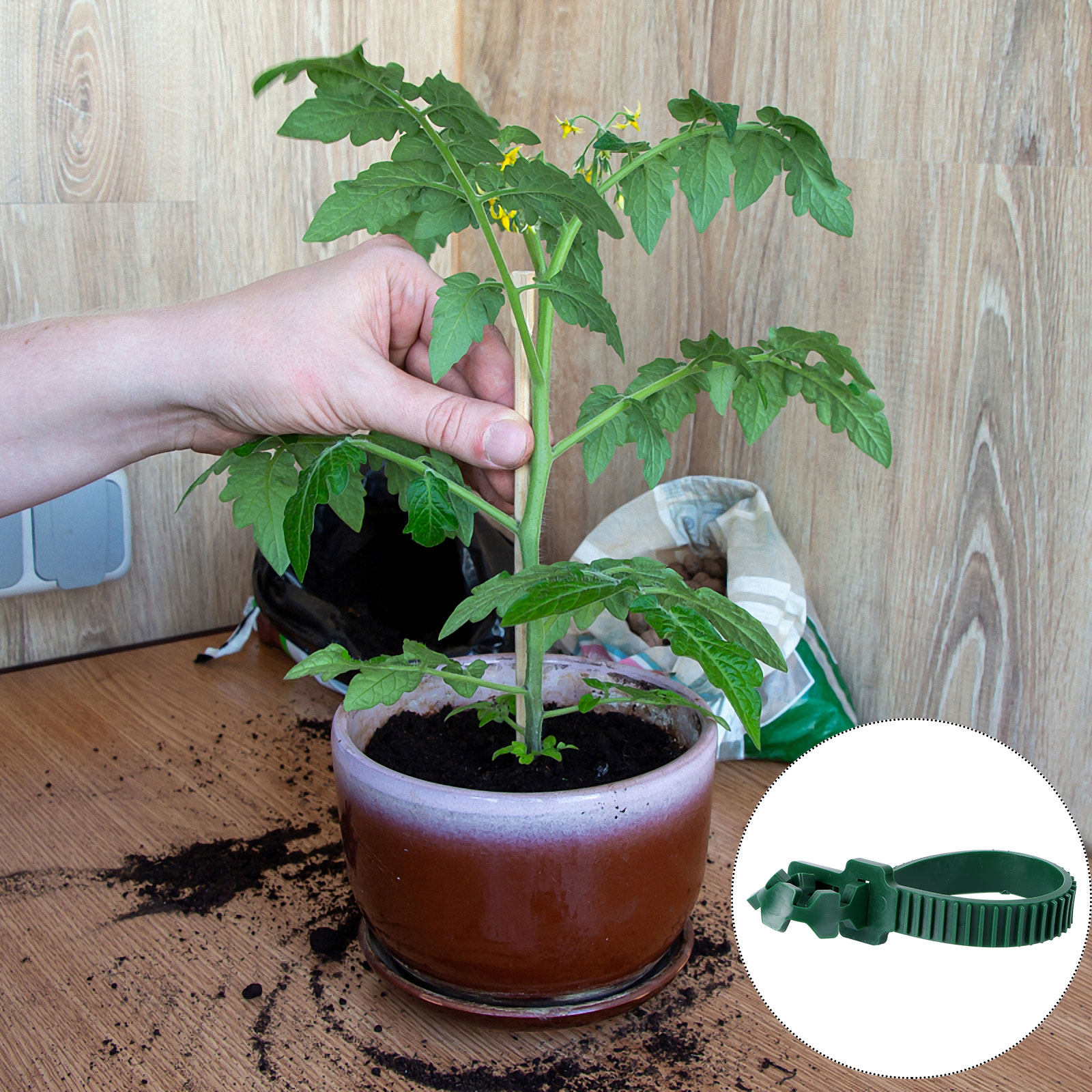 20 шт. зажимов для фиксации ра – обзор и цена Bonsai Gardener