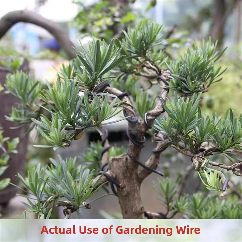 Алюминиевая проволока для бонс – обзор и цена Bonsai Gardener