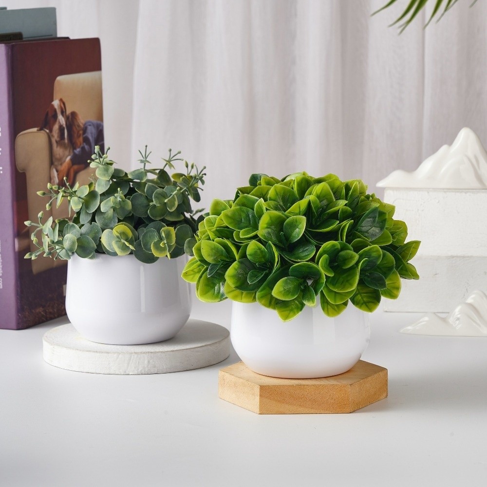 Искусственное растение Бонсай  – обзор и цена Bonsai Garden Zen