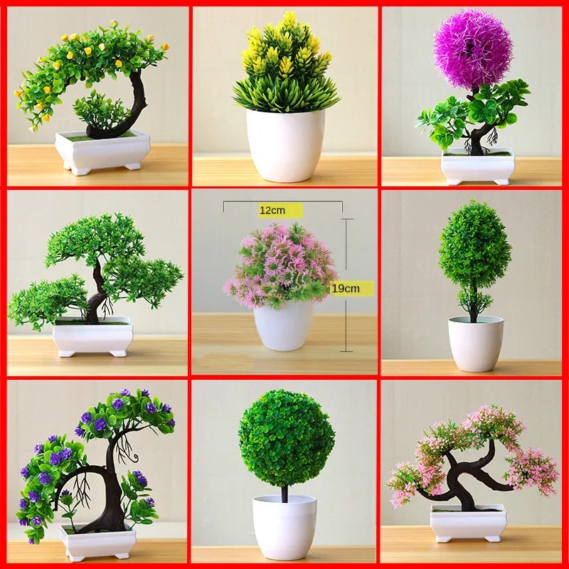 Искусственное миниатюрное дере – обзор и цена Bonsai Garden Zen