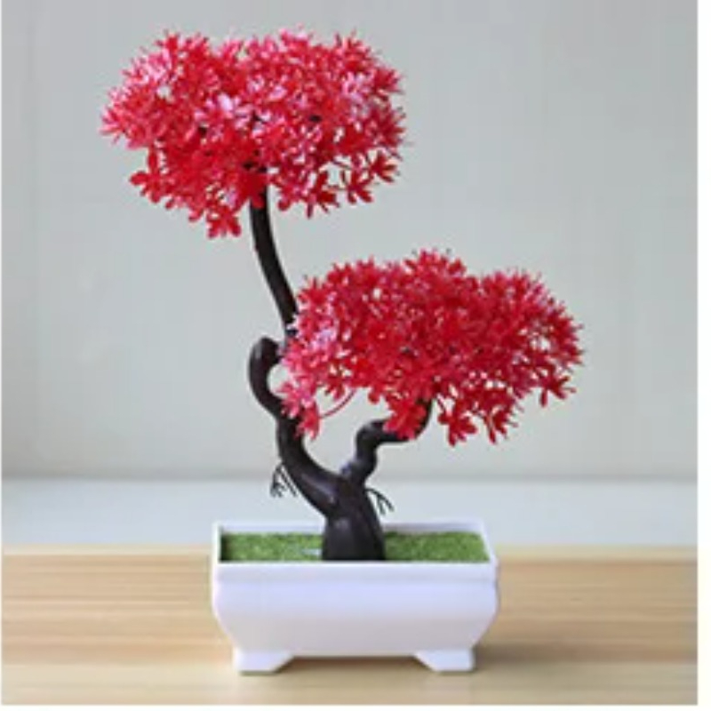 Искусственное миниатюрное дере – обзор и цена Bonsai Garden Zen